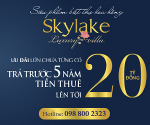 Banner quảng cáo thiết kế đẹp