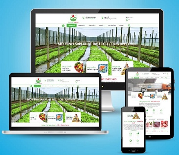 Đồng bộ dữ liệu lên website